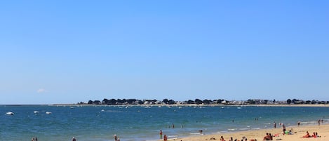 在海滩