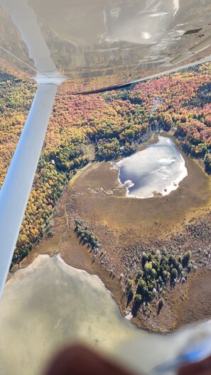 An aerial view of a lake surrounded by dense forest with a mix of green and autumnal colors.
