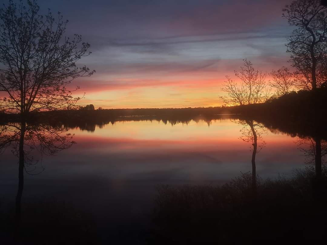10 acre, close to trails, WiFi, Kayaks, small lake/marsh,New beds.