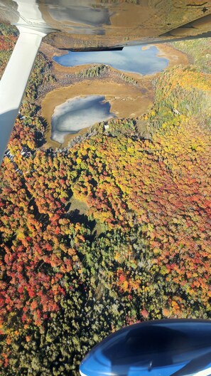 An aerial view of a forested area with a lake and a small building.