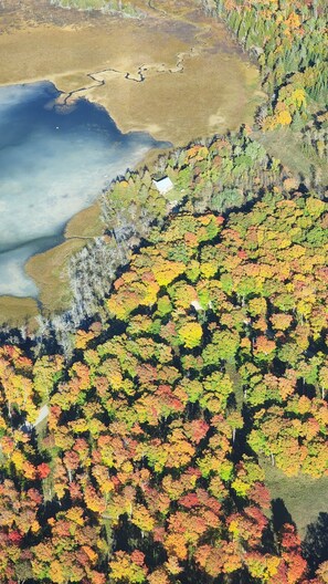 An aerial view of a forested area with a lake and a small building.