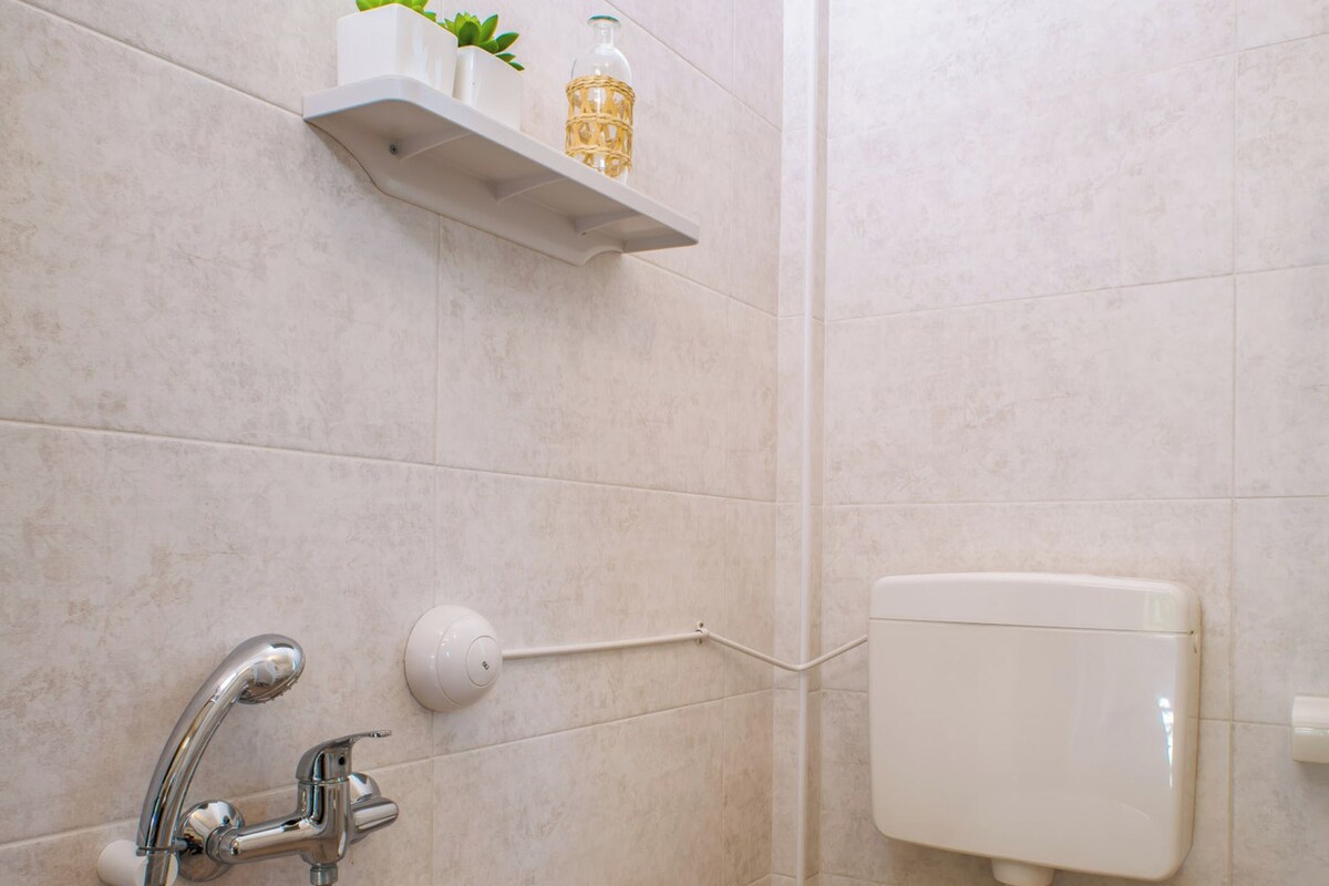 A bathroom with a toilet, a shower, and a shelf with a plant and a bottle.