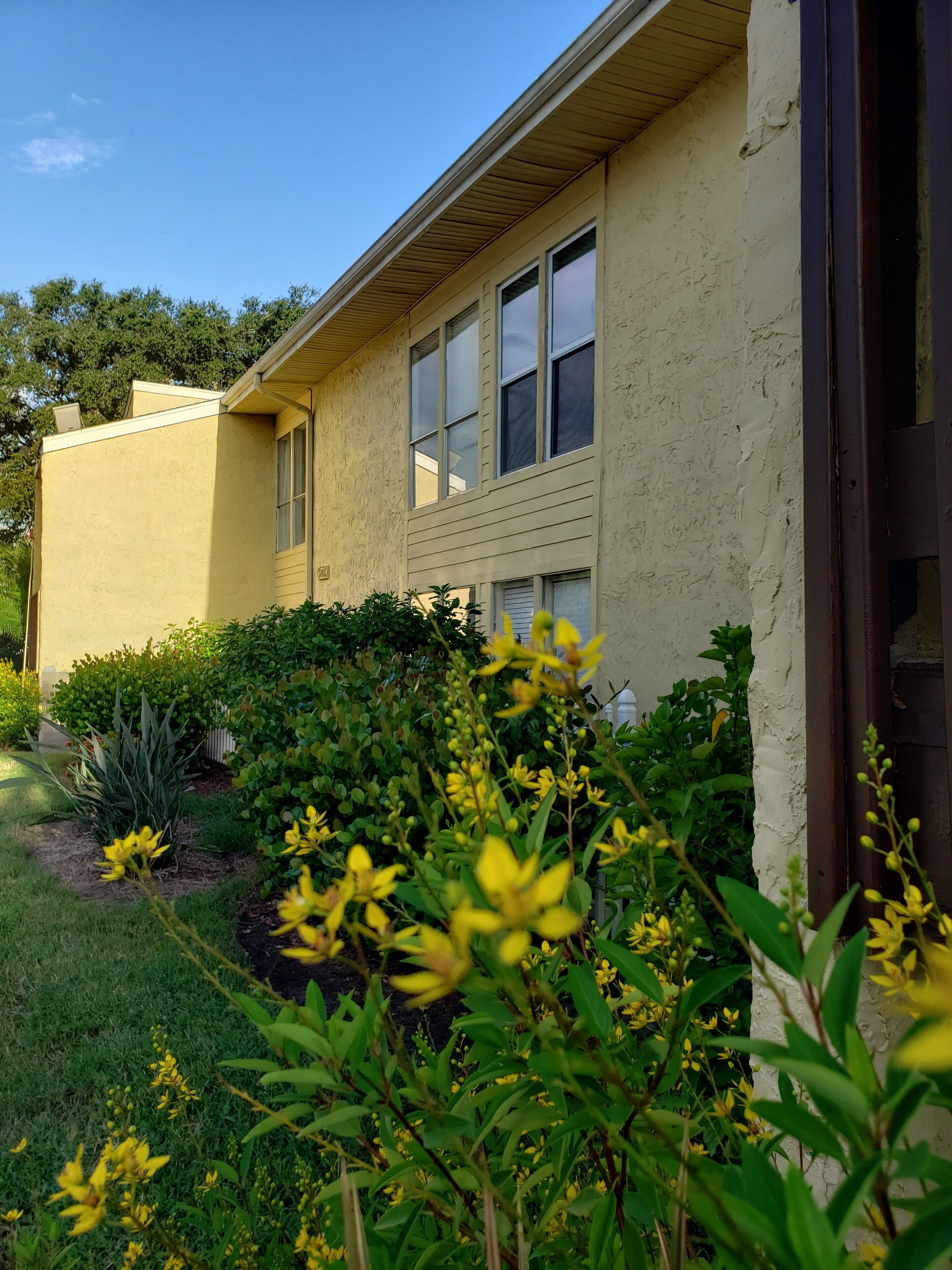 A two-story building with a beige exterior, large windows, and a garden with yellow flowers and green shrubs.