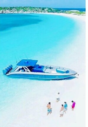 Sun loungers, beach towels - "Luxury waterfront mansion with large pool" Near clear water & sandy beaches ! (Pompano Beach)