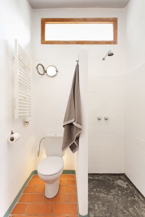 Shower, towels, toilet paper