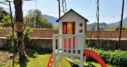 Sunflower House With a Pool and Large Garden