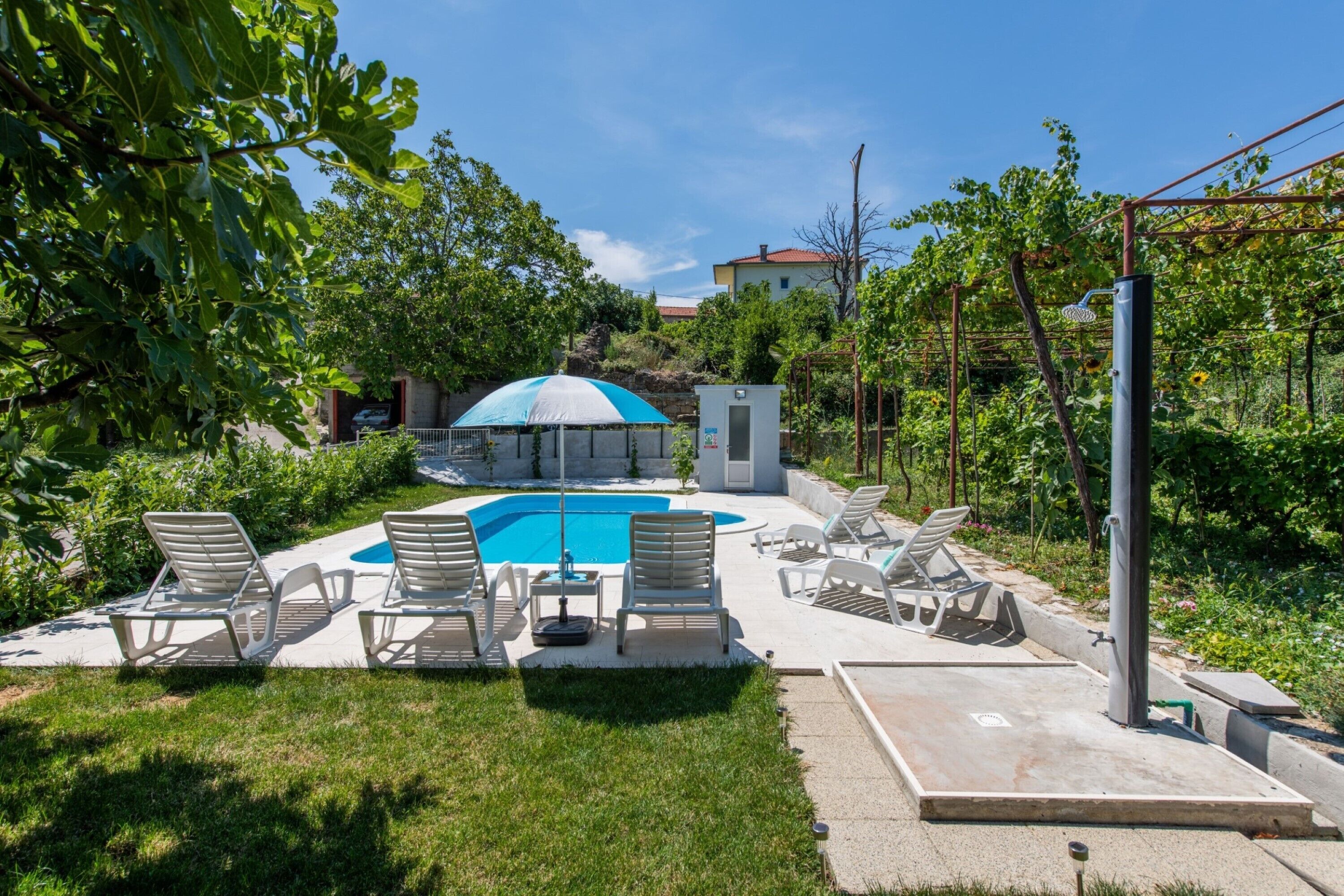 House | Pool | Outdoor pool