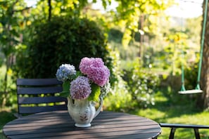 House | Property grounds