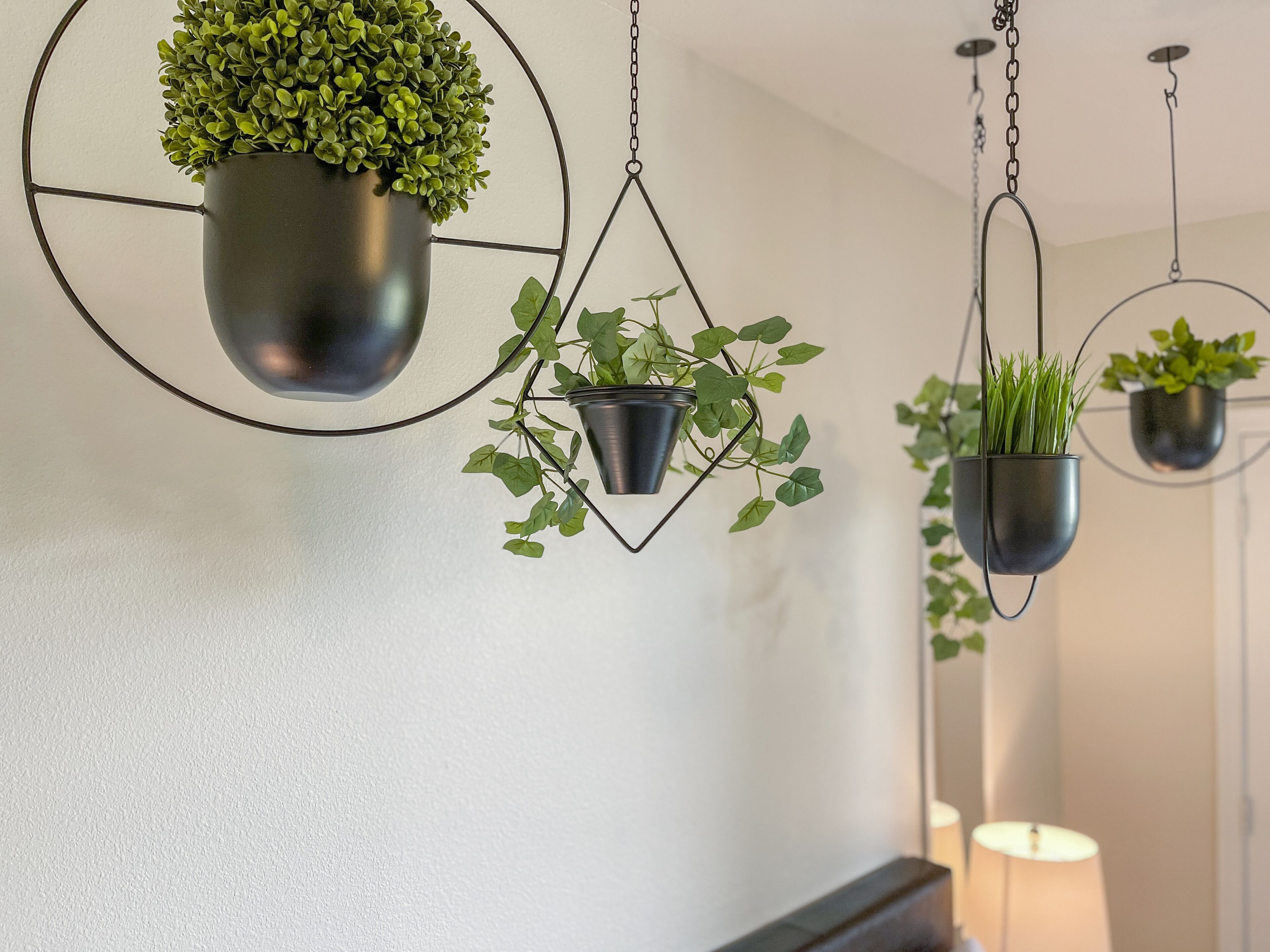 Drei hängende Pflanzgefäße mit Pflanzen vor einer schlichten Wand.