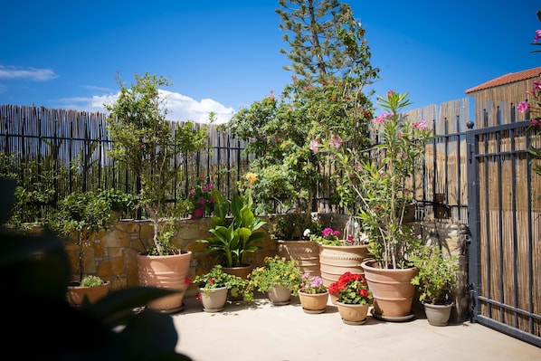 Property grounds - 250 metres from the sea a tiny independent house with a yard full of flowers! (Ιεράπετρα)