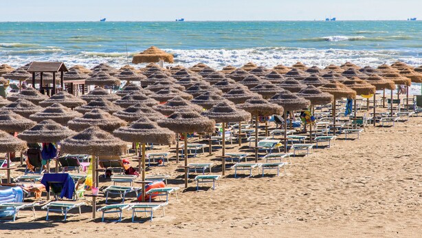 Una playa con filas de tumbonas y sombrillas de paja.