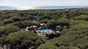 Vista aérea de un complejo turístico con piscina rodeada de densos pinos, una clara vista del mar y algunos barcos a lo lejos.