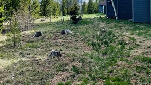 A modern house with a sloped roof, a large window, and a tree in the yard. - Silverthorn Skiing & Hiking with Community pool/hot tub/Sauna. (Silverthorne)