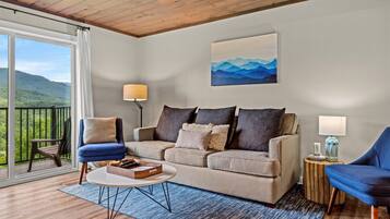 Televisio, takka, työhuone