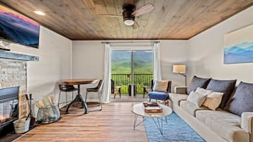 Televisio, takka, työhuone