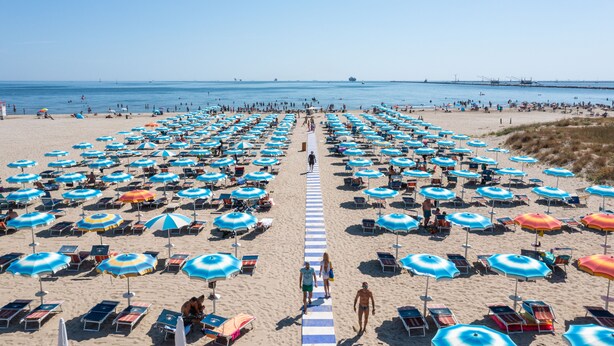 Ein Strand mit Reihen von Sonnenschirmen und Liegestühlen.