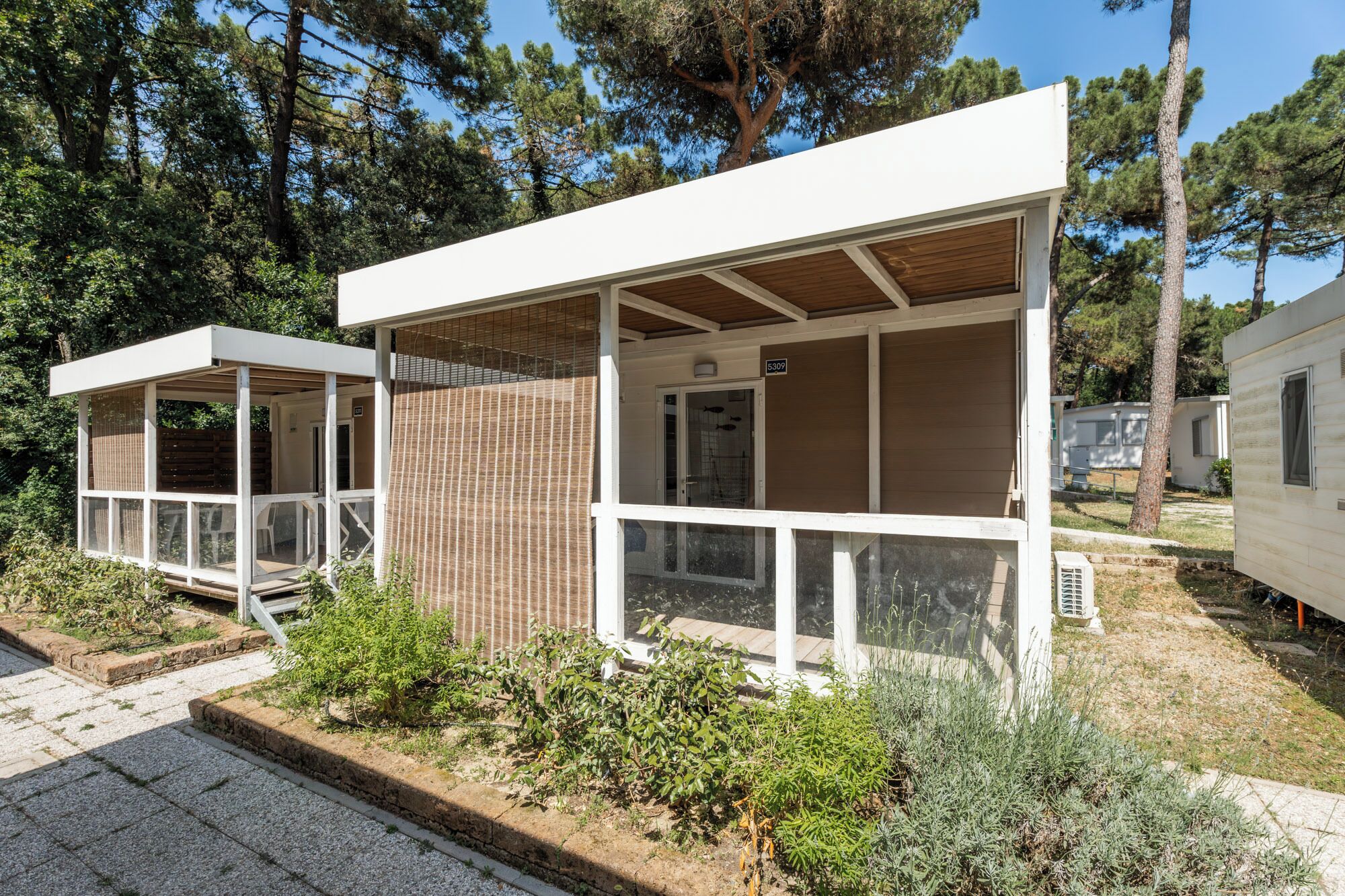 Superior Studio | Terrace/patio