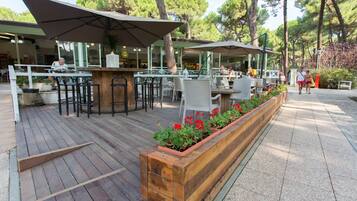 Bar (in loco)