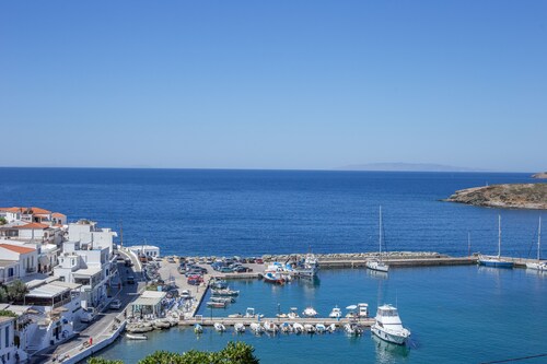 Villa Virginia Batsi Andros 