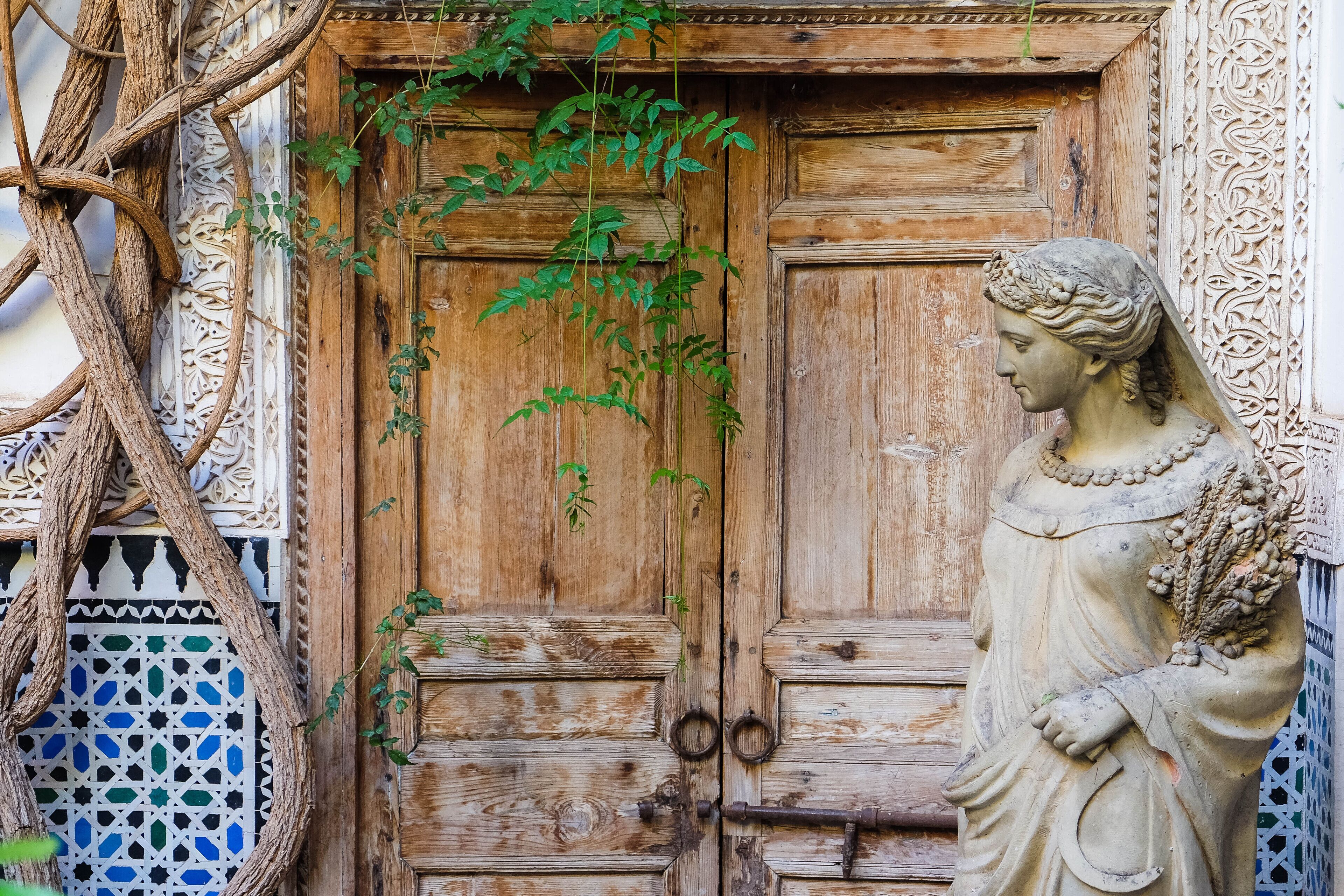 Photo - Dar Chibania