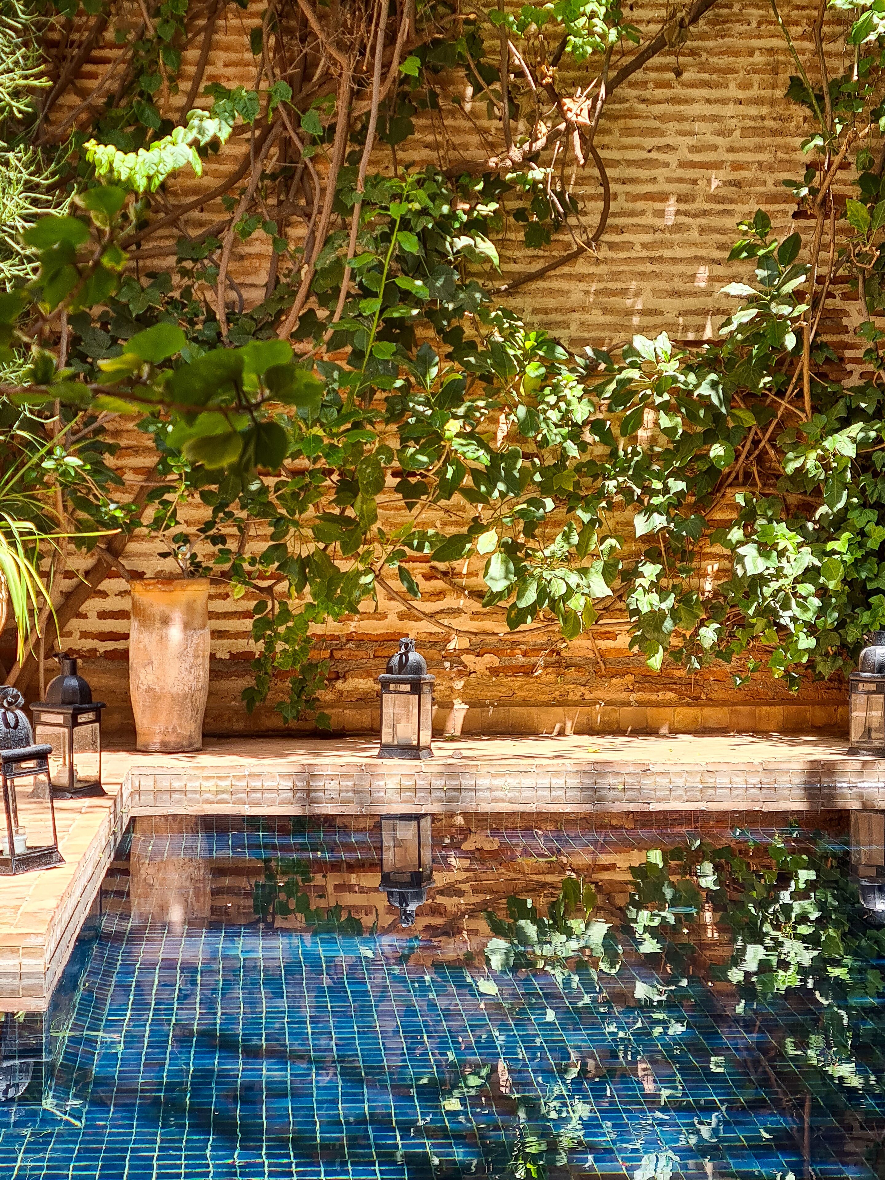 Photo - Dar Chibania