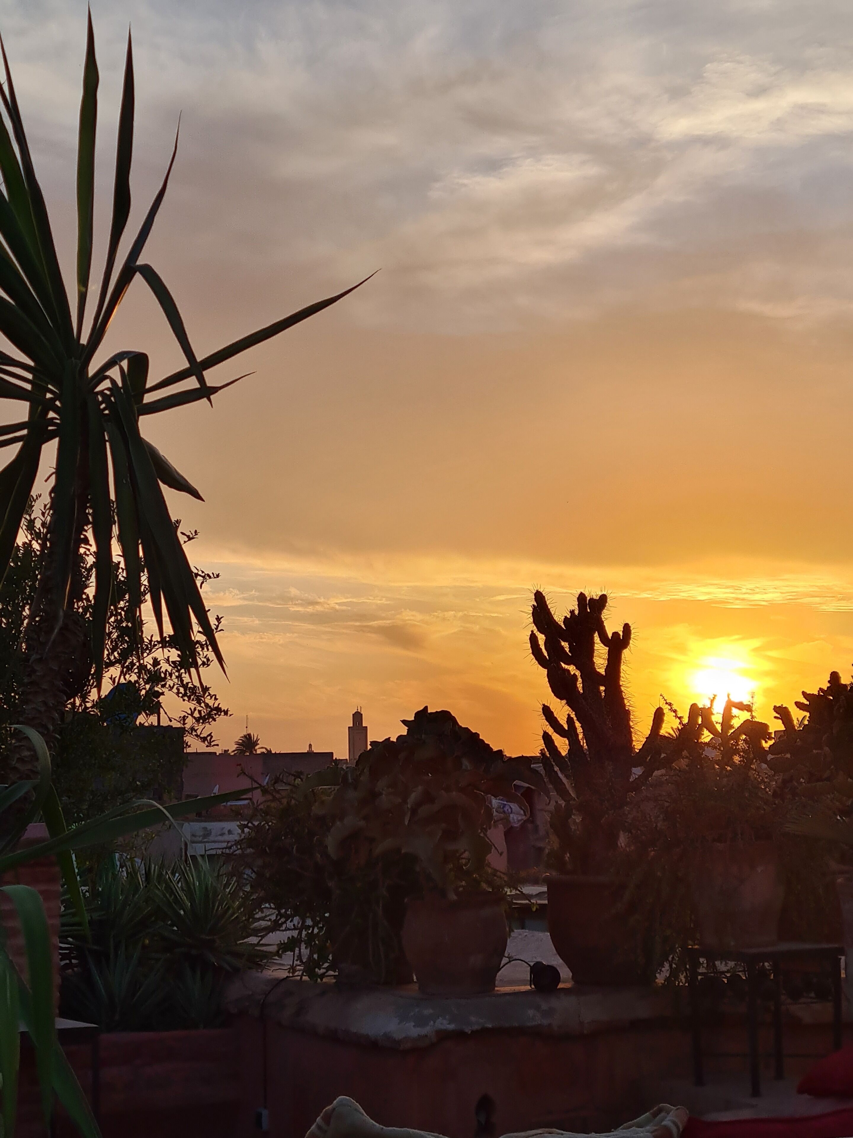 Photo - Dar Chibania