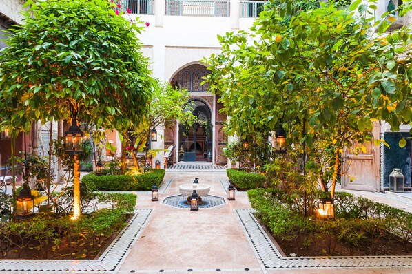 Garden - Dar Chibania (Marrakech)