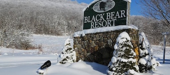 Cozy ski cabin in Canaan Valley nr ski resorts