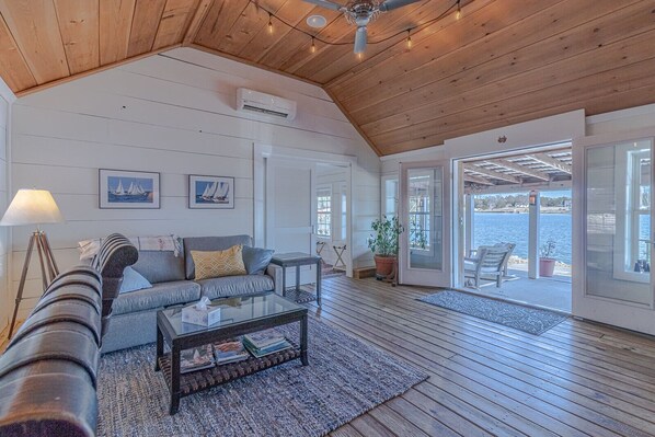 Smart TV, chimenea, reproductor de DVD y libros 