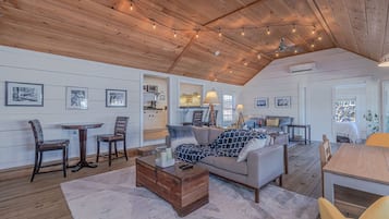 TV connectée, cheminée, lecteur de DVD, livres