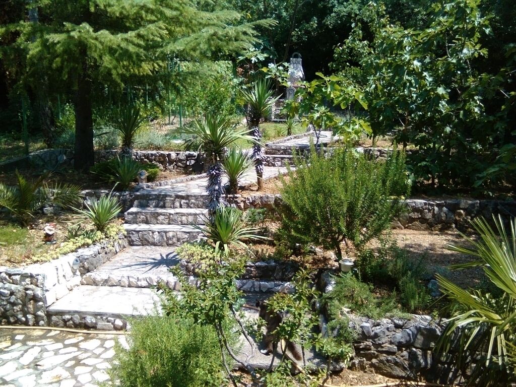 A garden with stone steps, various plants, and a statue.