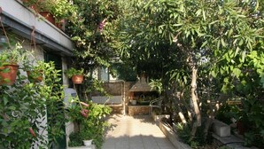 A paved pathway leading to a building entrance, surrounded by potted plants and trees.