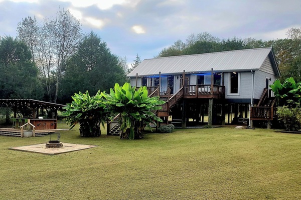 Backyard View of Jungalow