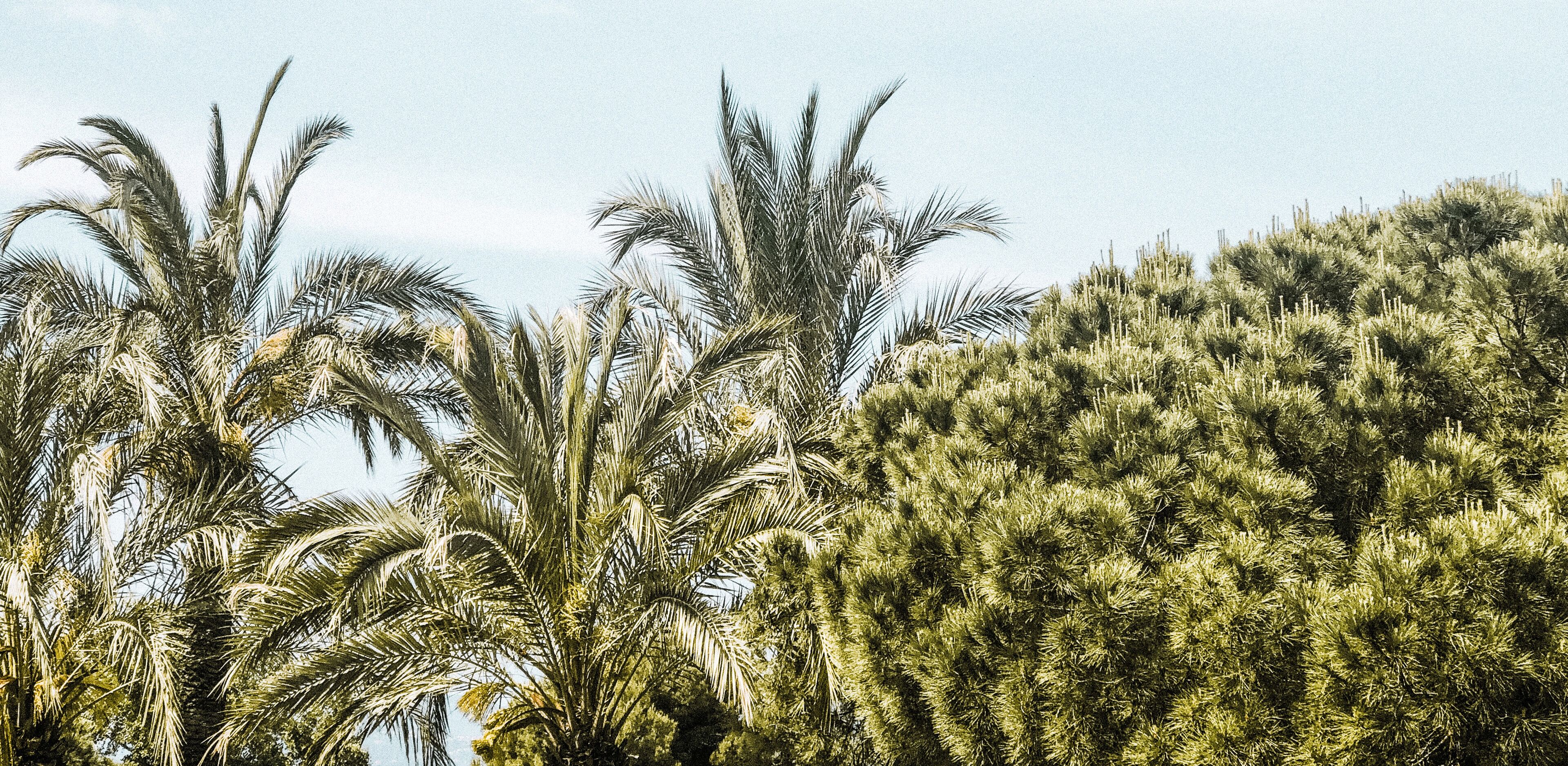 Beachfront Studio Cannes