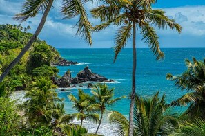 Beach nearby - A DREAM SEA VIEW INCREDIBLE (Punta Balandra)