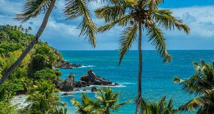 Un paraiso, 2 playas privadas, vista infinita