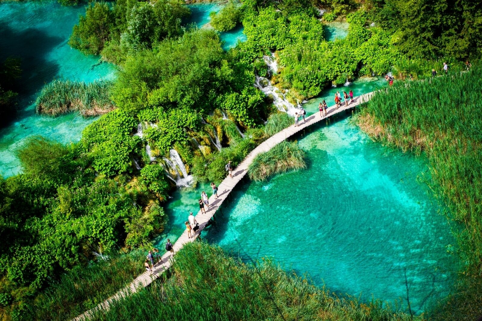 A wooden bridge over a turquoise water body surrounded by dense green foliage.
