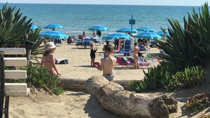 Une plage avec des parasols bleus, des gens et une grande bûche au premier plan.