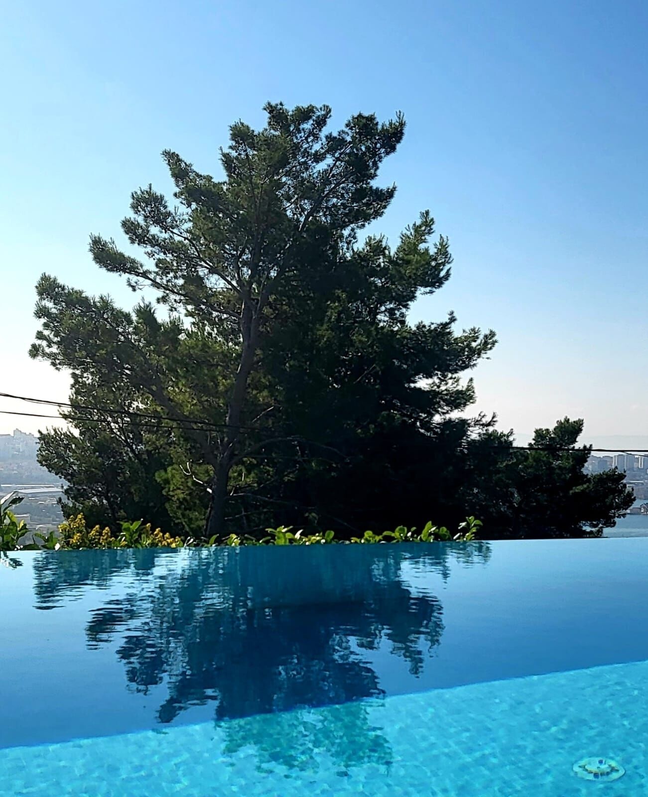 A clear blue infinity pool with a reflection of trees and a cityscape in the background.