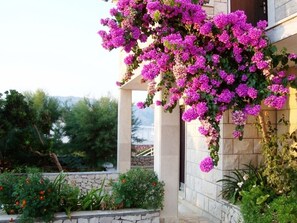 Property grounds - Apartment in Povlja with Seaview, Terrace, Air condition, WIFI (4991-2) (Povlja)