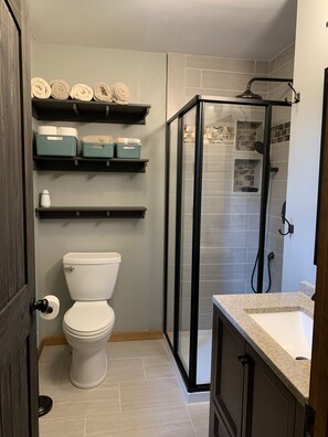 Regadera, secadora de cabello, toallas, papel de baño 
