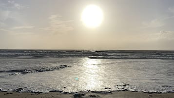 Ubicación a pie de playa y tumbonas