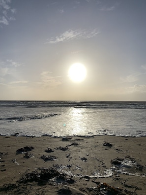 Ein Strand mit der Sonne, die sich im Wasser spiegelt, Wellen, die auf das Ufer zurollen, und Algen, die am Sand verstreut liegen.