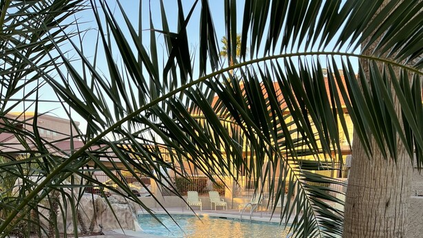 Ein Pool, umgeben von Palmen und einer Rasenfläche.
