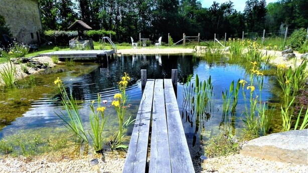 A wooden dock leading into a pond with yellow flowers and reeds. - A tranquil setting with beautiful views (Abjat-sur-Bandiat)