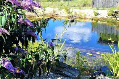 A tranquil setting with beautiful views