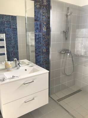 Shower, hair dryer, soap, toilet paper - Bienvenue à la Maison du Bois (Bartrès)