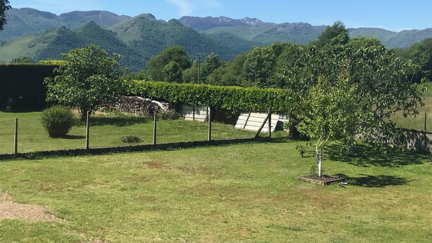 A grassy field with a fence, a tree, and a backdrop of mountains.