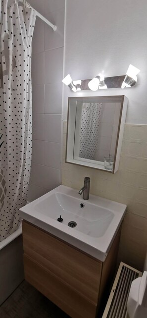 Bathtub, hair dryer, soap, toilet paper