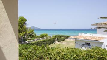 Ărea da propriedade